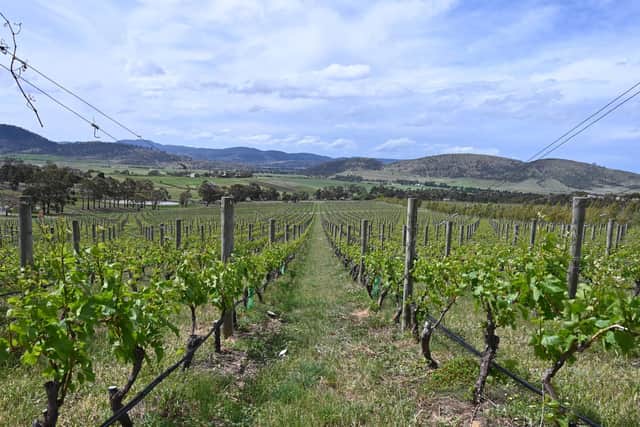 Tolpuddle Vineyard in Tasmania.