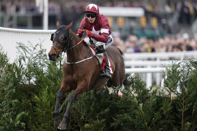 Grand National legend Tiger Roll will line up in Cheltenham's cross country race on Wednesday.