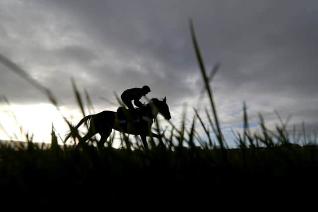 Horses on the gallops at Cheltenham ahead of the National Hunt Festival.