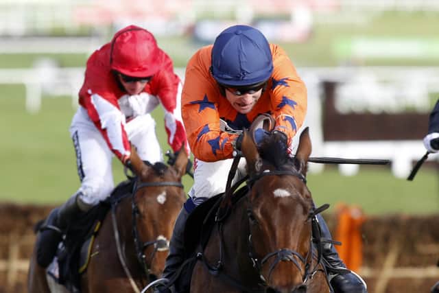 Bumper winner: Trainer David Pipe has previously won the Champion Bumper with the Tom Scudamore-ridden Moon Racer.