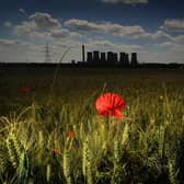This image of a lone poppy pictured by Eggborough Power Station was part Simon Hulme's award-winning portfolio at the UK Picture Editorss Guild Awards 2020. Photo credit: Simon Hulme
