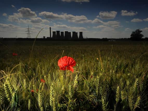This image of a lone poppy pictured by Eggborough Power Station was part Simon Hulme's award-winning portfolio at the UK Picture Editorss Guild Awards 2020. Photo credit: Simon Hulme
