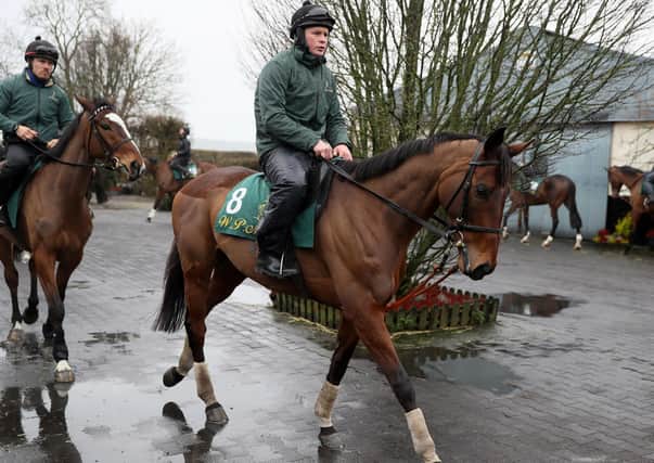 Leading contender: Willie Mullins-trained Chacun Pour Soi. Picture: PA
