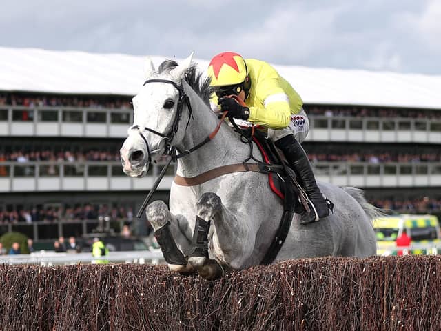 Harry Skelton clears the last in the Queen Mother Champion Chase on Politologue.