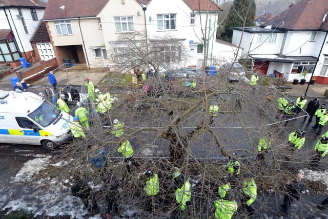 At the height of the dispute, dozens of police officers were sent out to support felling operations. Picture: Scott Merrylees