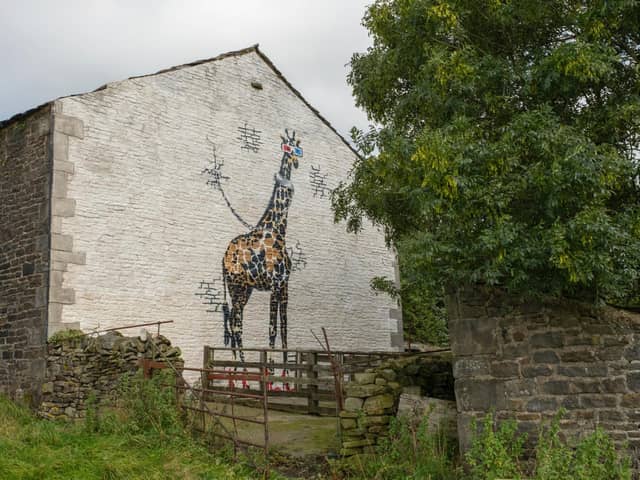 The giraffe mural on Last Tango in Halifax. Picture: BBC.