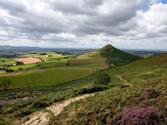 A view across towards Roseberry Topping from Newton Moor in North Yorkshire. Image: Ian Day