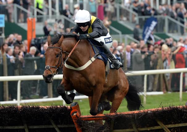 Top pair: Seeyouatmidnight and Ryan Mania in action at Aintree's Grand National meeting in April, 2014.