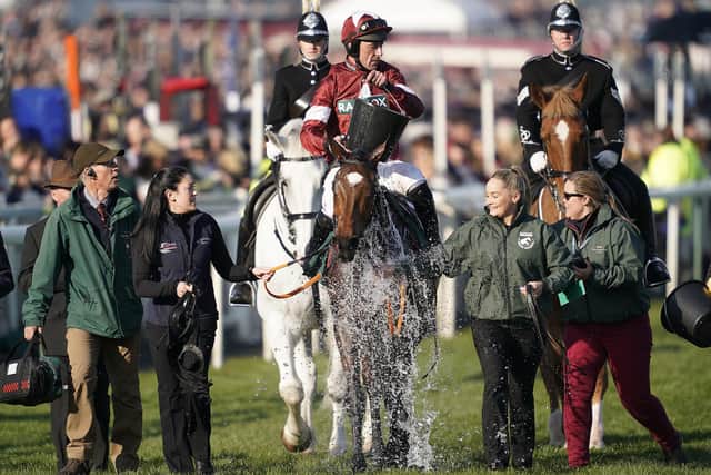 Tiger Roll and Davy Russell after their second Grand National win.