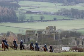 Horses on the gallops at Middleham - an estimated 14,000 racehorses still need to be cared for despite coronavirus.