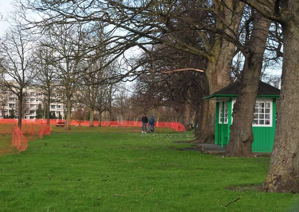 Should wild flowers be planted on The Stray in Harrogate?