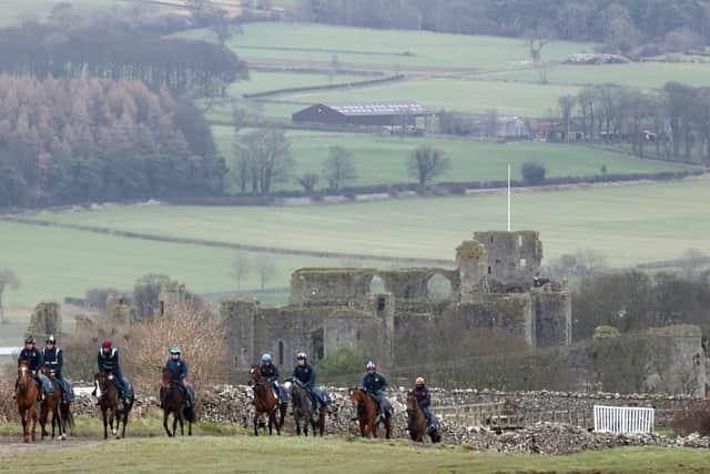 Horses on the gallops at Middleham earlier this week.