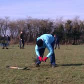 Community volunteers helping HEYwoods plant new woodland in north Hull Picture: HEYwoods