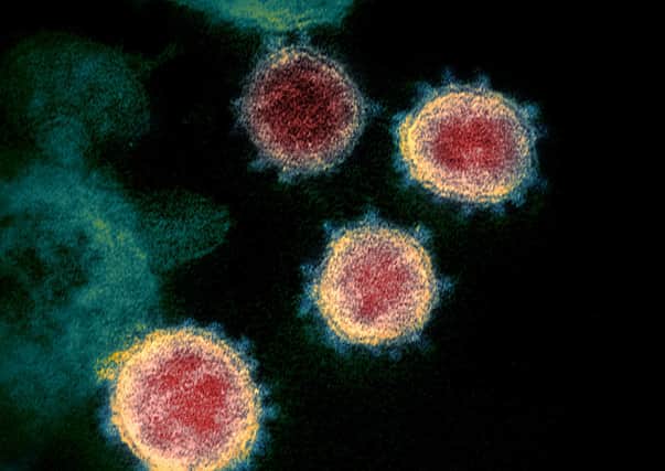 Is China to blame for the coronavirus pandemic?