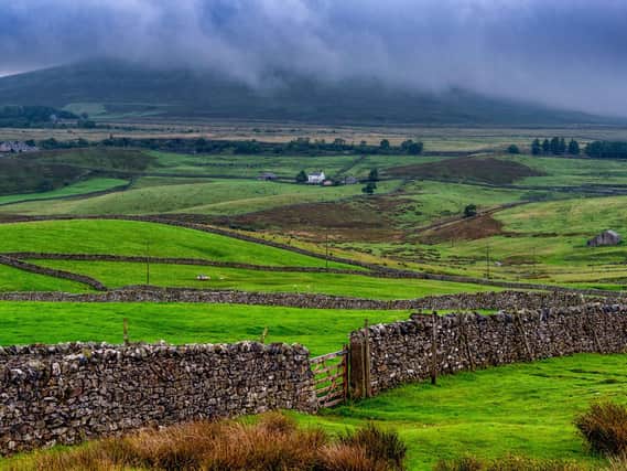 A view looking across Ribblesdale, towards Park Fell, with Gauber Bunk Barn, a fromer Quaker Barn, originally built around the early 1700, perfectly located in the heart of the dales for walkers heading out for the Three Peaks, Dales High Way, or Dales Way
or just general walking in the glorious Yorkshire Dales. Pic: James Hardisty