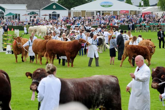 Scenes from last year's Great Yorkshire Show as this year's renewal is called off.