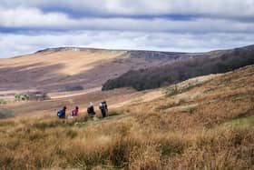 Scientists, based at the University of Sheffield, has been carrying out the research using grasslands from the Peak District.