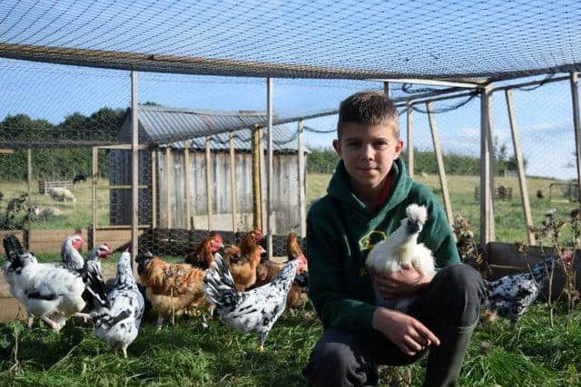 Eight-year-old Jack Hogg with his chickens on the Yorkshire Vet. Picture: Daisybeck Studios.