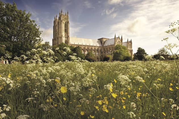 Wildflowers with Beverley Minster in the background