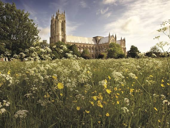 Wildflowers with Beverley Minster in the background