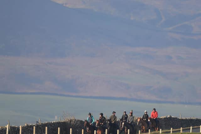 Horses on the gallops at Middleham yesterday.