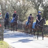 Racehorses at the gallops in Middleham. Trainers are being advised to continue gallops exercise, and adhere strictly to social-distancing requirements, following Prime Minister Boris Johnson's announcement of new measures to combat the spread of coronavirus. PA Photo.