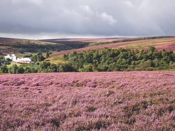 North York Moors near Goathland