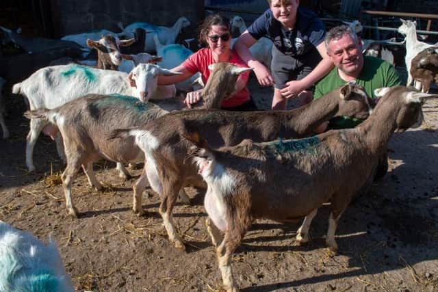 Sharron, Archie and Ed Parker with their Goats at Sire Bank Farm, Bradley near Skipton. Picture by Bruce Rollinson.