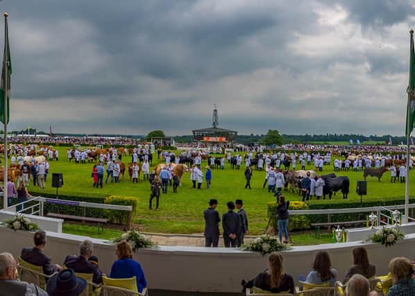 The Great Yorkshire Show in 2019
