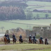 Horses on the gallops at Middleham earlier this month.