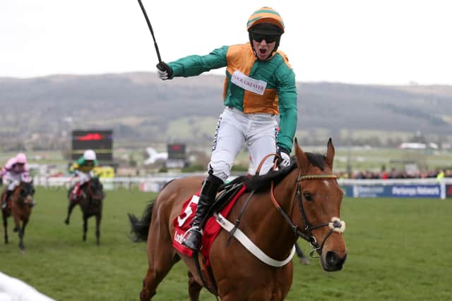 Gavin Sheehan celebrates his coming of age win on Cole Harden in the 2015 Stayers' Hurdle at Cheltenham.