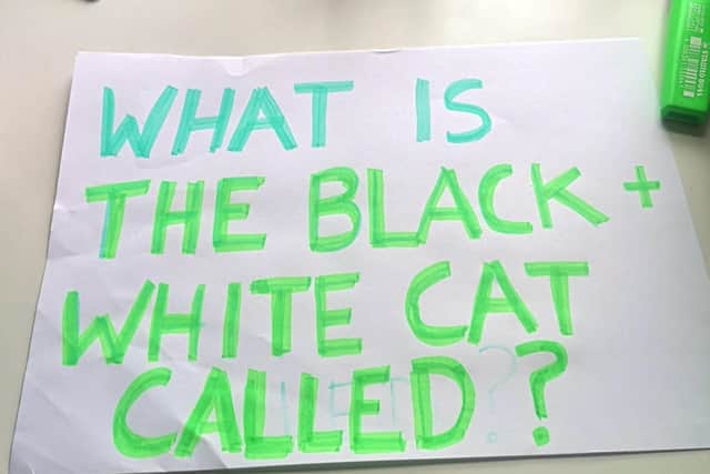 Sian Cosgrove posted the sign on the window to find out what her neighbour's cat was called.