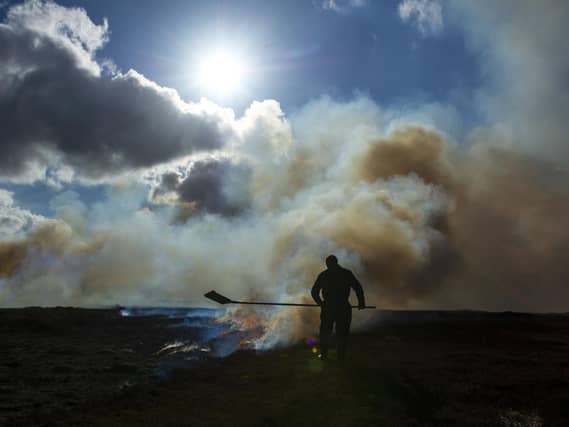 5 March 2020.... A heather beater keeps a close watch on a controlled heather burn on the moors above Castleton in the North Yorkshire Moors National Park. Technical details Nikon D3s wuith a 28-70mm lens and an expoure of 1/2500th @f9, 200 ISO. Picture Tony Johnson