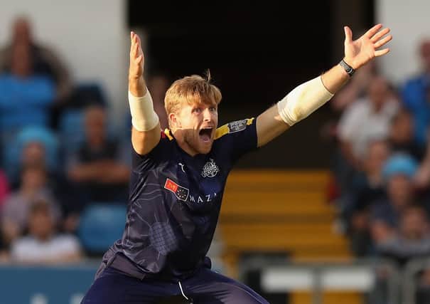 In charge: David Willey. Picture: David Rogers/Getty Images