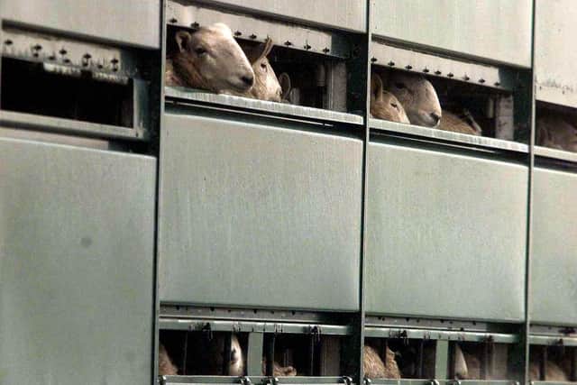 The 2001 foot-and-mouth crisis saw the mass slaughter of livestock.