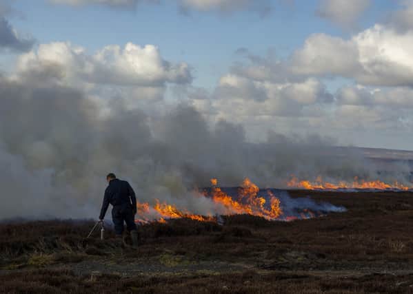 Heather burning on the North York Moors near Castleton last month continues to divide public and political opinion.