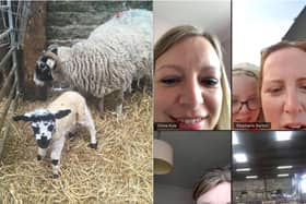 A video grab of Rachael Caton's friends watching a lamb being born whilst on a video chat. The lamb was later given the name Zoom after the name of the video chat app.