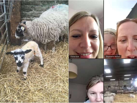 A video grab of Rachael Caton's friends watching a lamb being born whilst on a video chat. The lamb was later given the name Zoom after the name of the video chat app.