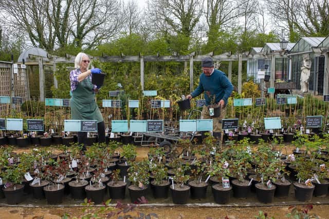 Should garden centres and nurseries be forced to stay shut?
