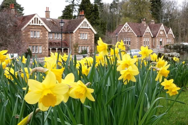 William Wordsworth is synonymous with his Daffodils poem.