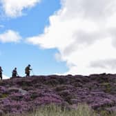 Grouse shooting and the management of Yorkshire's moors continues to divide opinion.