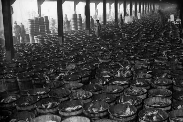 28th March 1934:  St Andrew's dock, Hull where tons of fish are in barrels waiting to be sold for the Easter market.  (Photo by Fred Morley/Fox Photos/Getty Images)