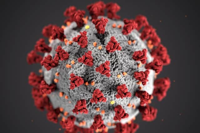 Illustration of the ultrastructure of the Covid-19 virus. Photo: CDC/SCIENCE PHOTO LIBRARY