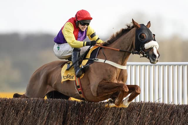 On the way: Jonjo O'Neill junior and Native River clear the last in the Denman Chase at Newbury.