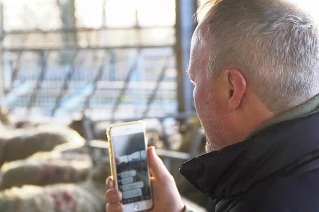 Robert Nicholson, who runs the farm withhis two brothers David and Richard alongside their 76-year-old father Roger, has seen a huge increase in the numbers of viewers watchinglive streaming on Facebook of the annual lambing festival.Photo credit: other