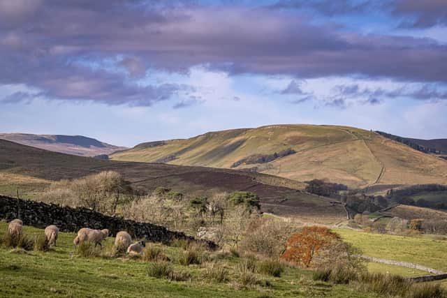 Yorkshire is lucky to have so many beauty spots - and they will be there to visit when the lockdown ends.