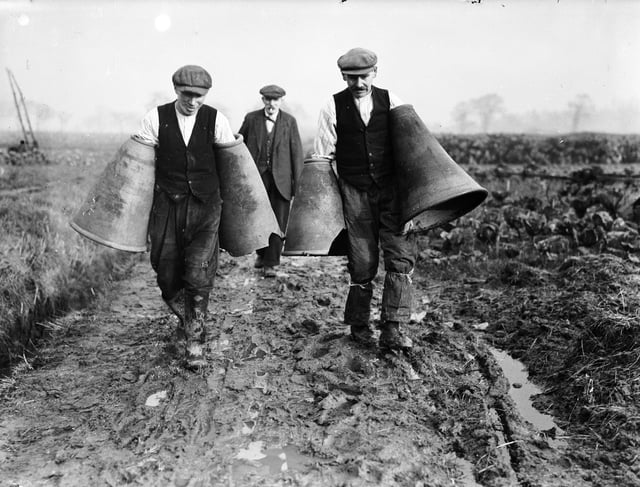 20th January 1937:  Workmen carrying rhubarb pots at a nursery farm at Rumney, near Cardiff (Photo by Fox Photos/Getty Images)