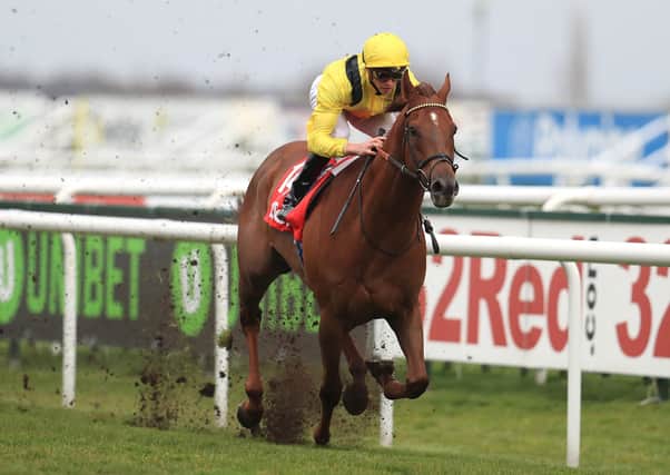 ADDEY' HABIT: Addeybb ridden by James Doyle wins the 2018 32Red Lincoln Handicap at Doncaster. The horse won in Australia at the weekend.
