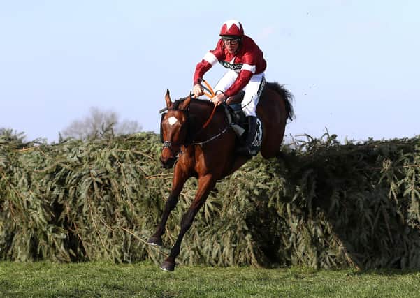 Aintree star: Tiger Roll ridden by jockey Davy Russell on the way to winning the Grand National in 2018.