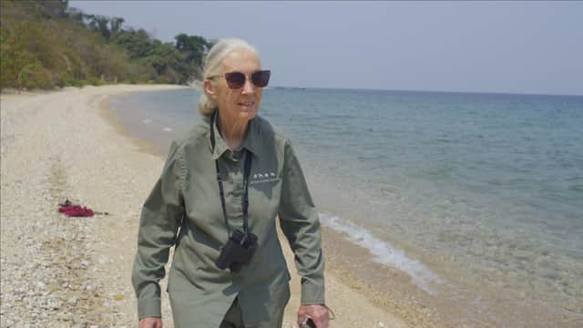 Dr. Jane Goodall walking along the beach of Lake Tanganyika. Picture: PA Photo/National Geographic/Michael Haertlein.